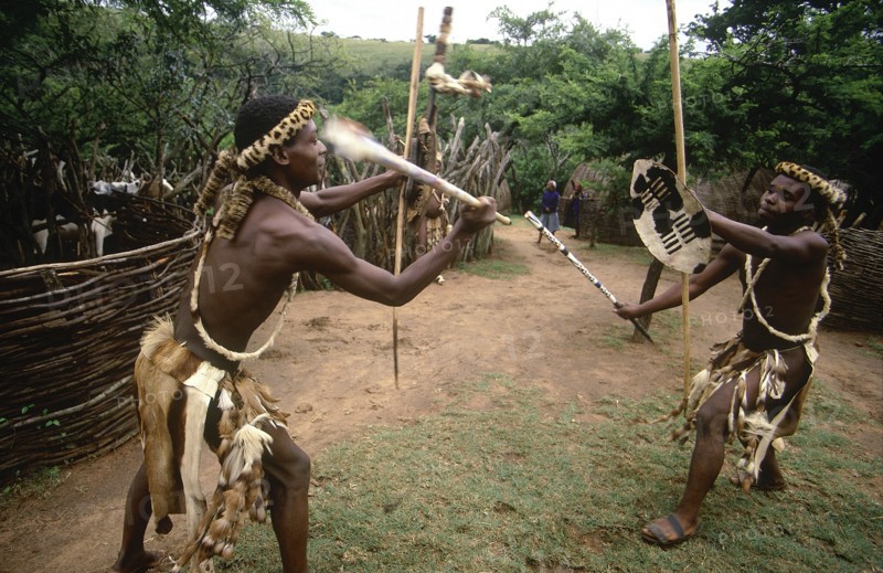 SOUTH AFRICA, KwaZulu Natal , Melmoth, Zulu men demonstrating traditional fighting with sticks