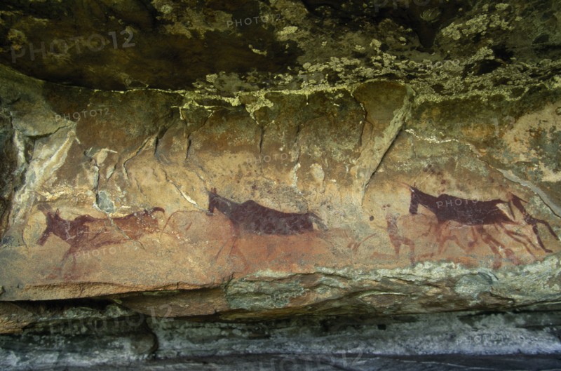 SOUTH AFRICA, KwaZulu Natal Kamberg, Kamberg, Bushmen San Rock art paintings of animals at Christmas cave