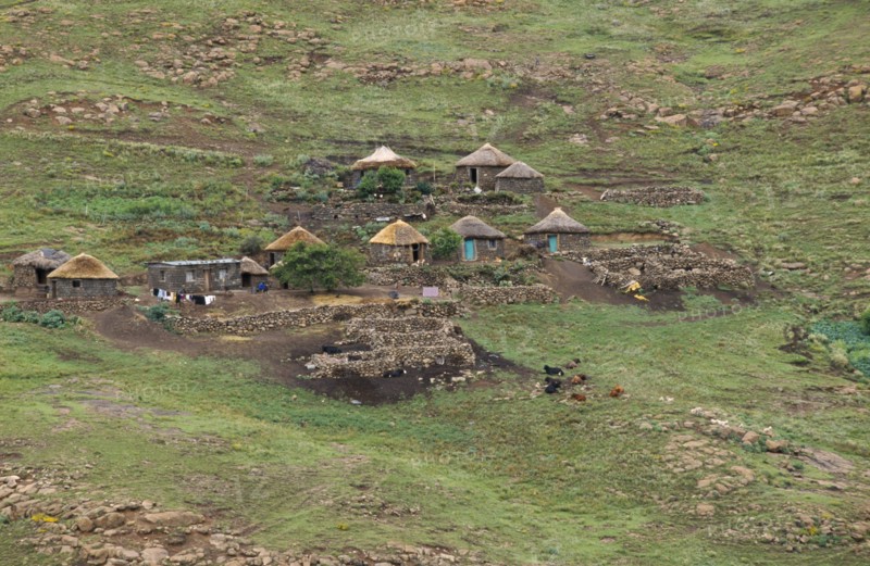 LESOTHO, Near Katse,  Basotho Homesteads on hillside.