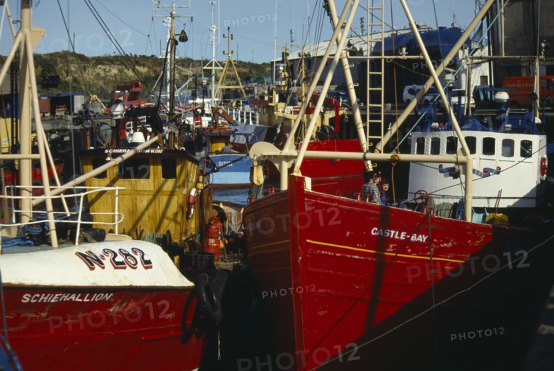 NORTHERN IRELAND, County Down, Kilkeel, Fishing boats in Kilkeel Harbour