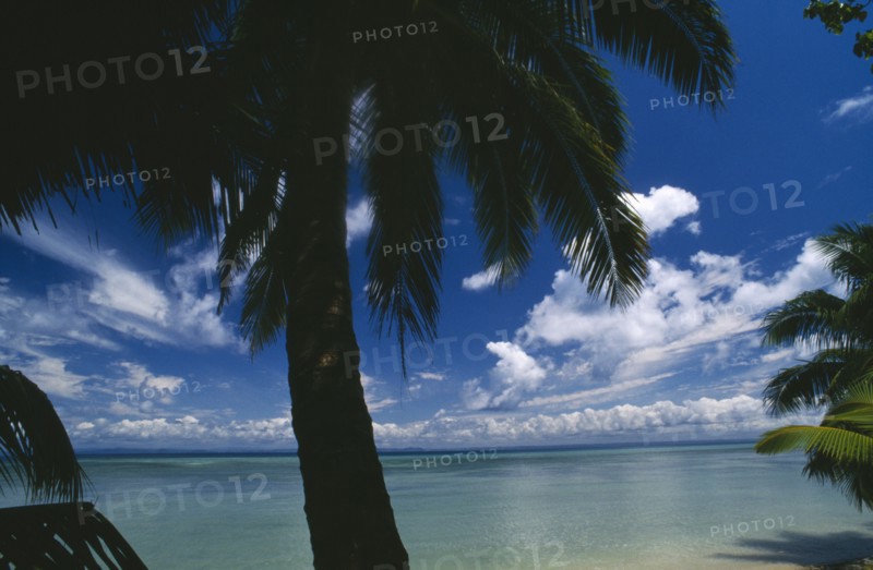 MADAGASCAR, Isle St Marie, View to sea through palm trees