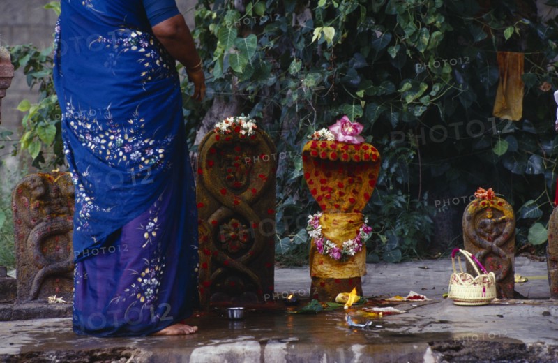 INDIA, Tamil Nadu, Kanchipuram, Devarajaswami Hindu temple.  Cropped shot of woman and offerings