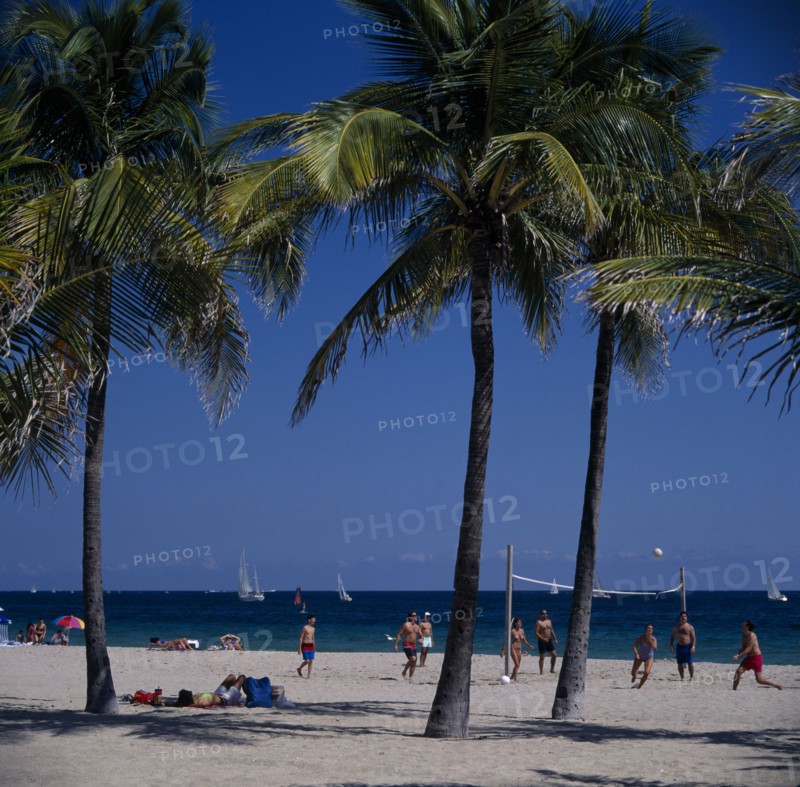 USA, Florida , Fort Lauderdale, Beach volleyball seen through Palm trees