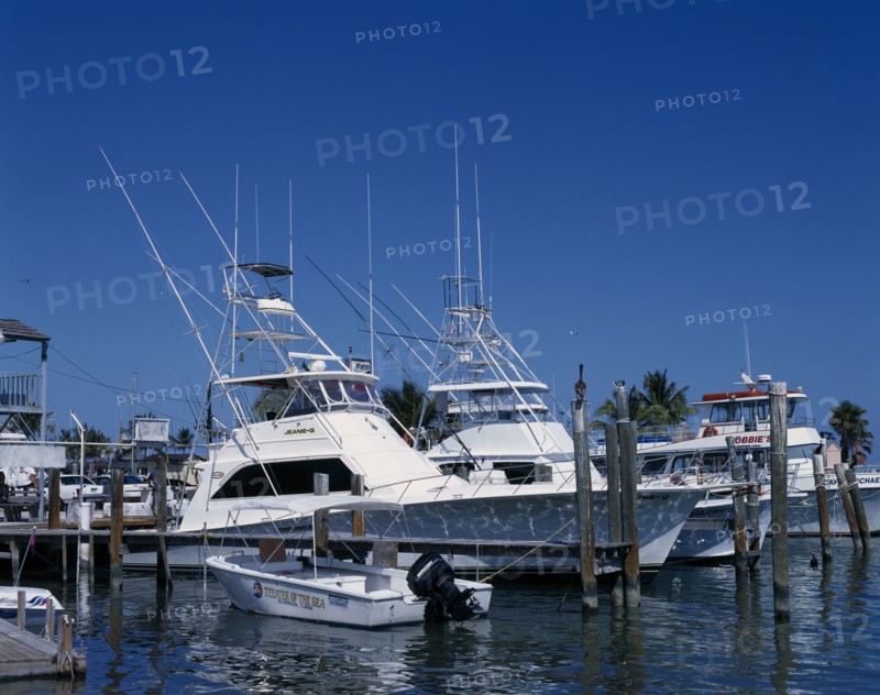 USA, Florida , The Keys, Fishing boats in harbour