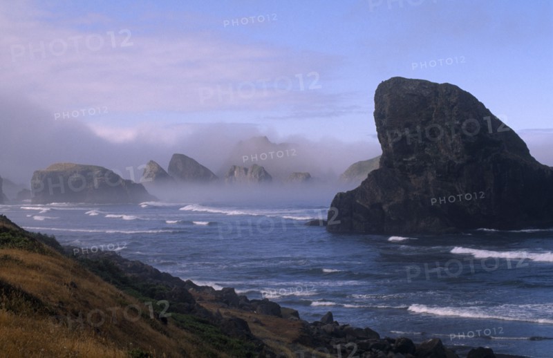 USA, Oregon , Near Cape Sebastian , Misty coastline with rocky outcrops