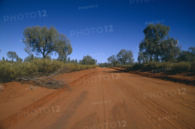 AUSTRALIA, North Territory, Red dirt road in the outback WT 60.31