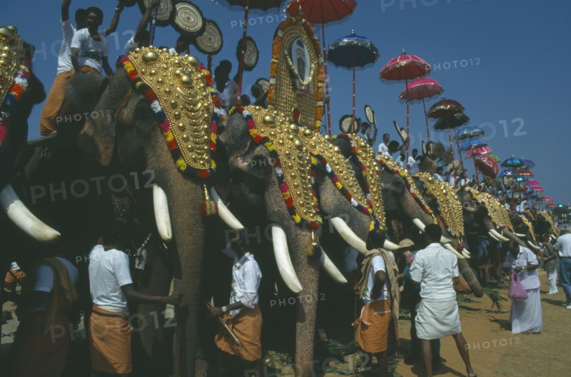 INDIA, Kerala, Trichur , The Great Elephant March. Decorated elephants standing in line with handlers