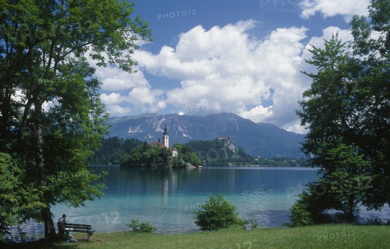SLOVENIA, Gorenjska, Lake Bled, The Church Of The Assumption on an island seen through trees with a fisherman on the bank with mountains in the distance