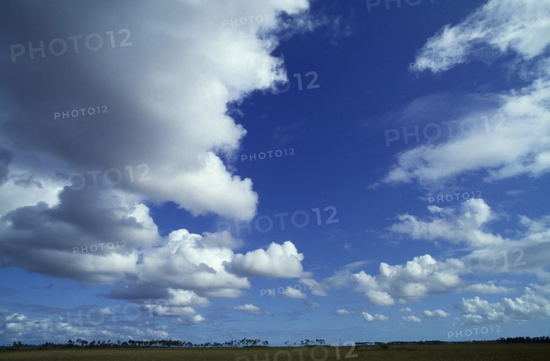 WEATHER , Climate, Clouds , "Dramatic clouds in a blue sky over the Everglades, Florida"