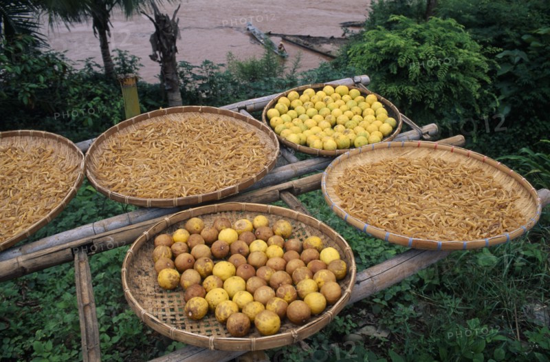 LAOS, Luang Prabang, Lemons by the Mekong River