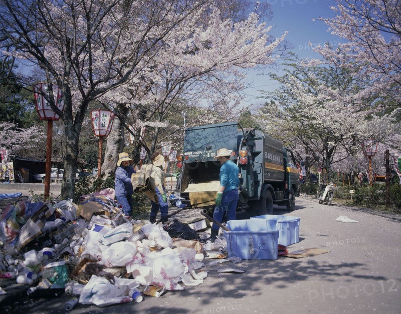 JAPAN, Honshu, Kyoto, Maruyama Park rubbish collection during Cherry Blossom season