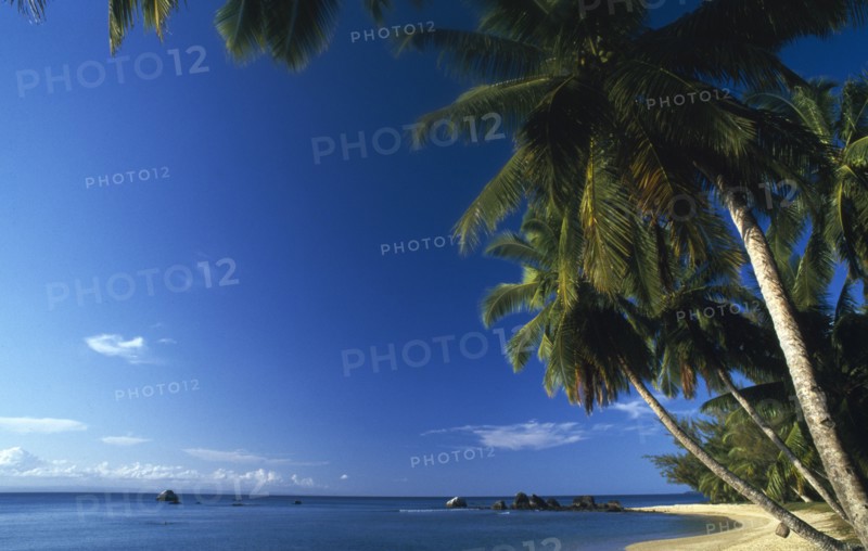MADAGASCAR, Isle St Marie, Empty beach scene with palm lined shore