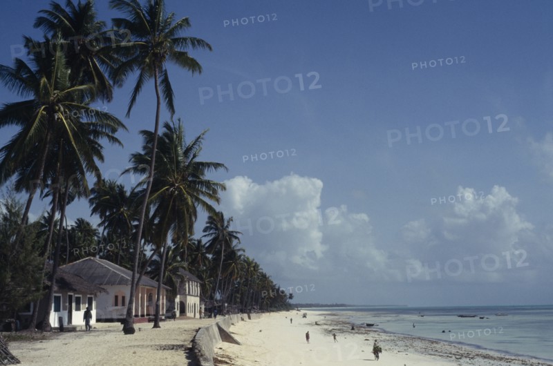 ZANZIBAR, Jambiani, "White sandy palm fringed beach with cyclist, car and people walking along"