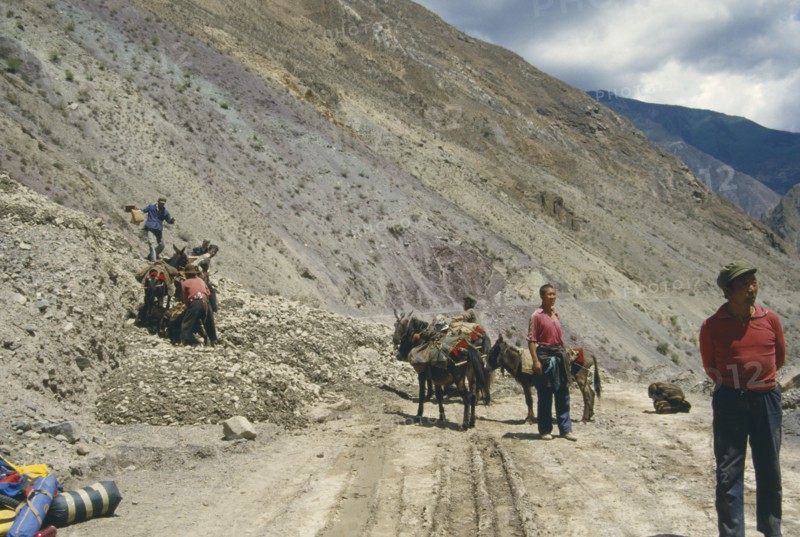 CHINA,  Mekong Valley, Men with donkeys at landslide