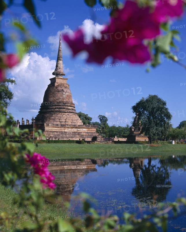 THAILAND, Central Plains, Sukhothai, Bell shaped temple(Wat)through flowers-reflection
