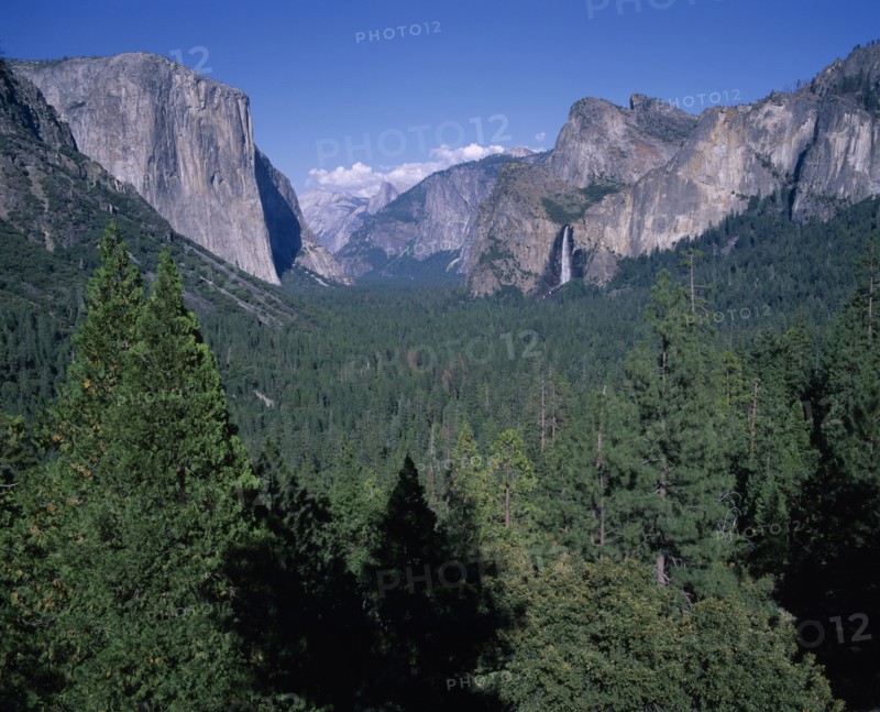 USA, California, "Yosemite National Park, mountain scenery with fir tree forest in front "