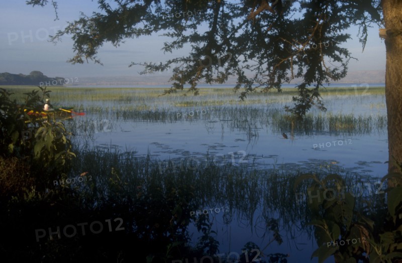 ETHIOPIA, Lake Awassi, View across lake from the reeded shore