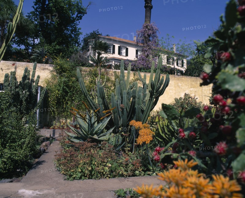 PORTUGAL, Madeira, Funchal, Botanic Garden