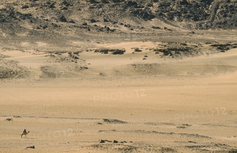EGYPT,  , Aswan, Rider on camel in desert