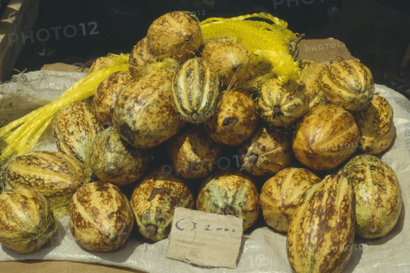 BRAZIL,  , Manaus, Cocoa in Market