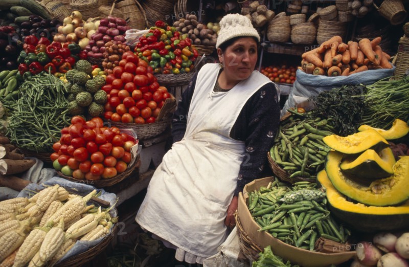 BOLIVIA, Sucre, Fruit and vegetable stall with women stall holder