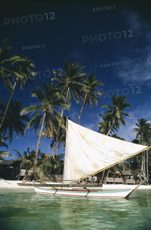 PHILIPPINES, Visayan Islands, Boracay Island, Sailboat moored on the beach lined with tall palms and beach huts