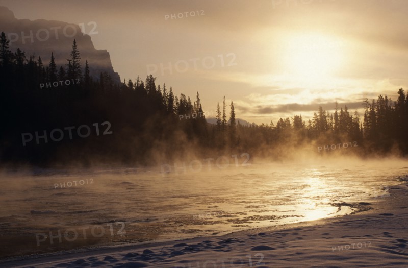 CANADA, Alberta , Lake Louise, Sunrise over misty Bow River and tree lined bank
