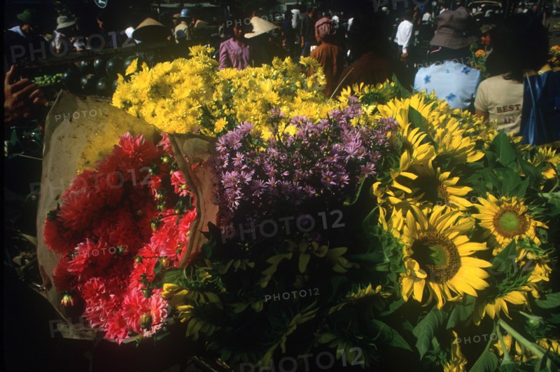 VIETNAM, Ho Chi Minh City, Flower Market  Saigon