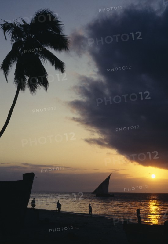 ZANZIBAR, Beach Scene, View over beach with overhanging palm and people with silhouetted dhow at sunset