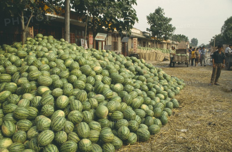 CHINA, Luoyang , Watermelons for sale.