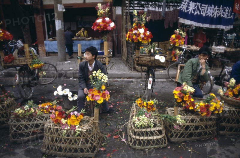 CHINA, Sichuan, Chengdu, Vendors sitting with displays at the Flower Market
