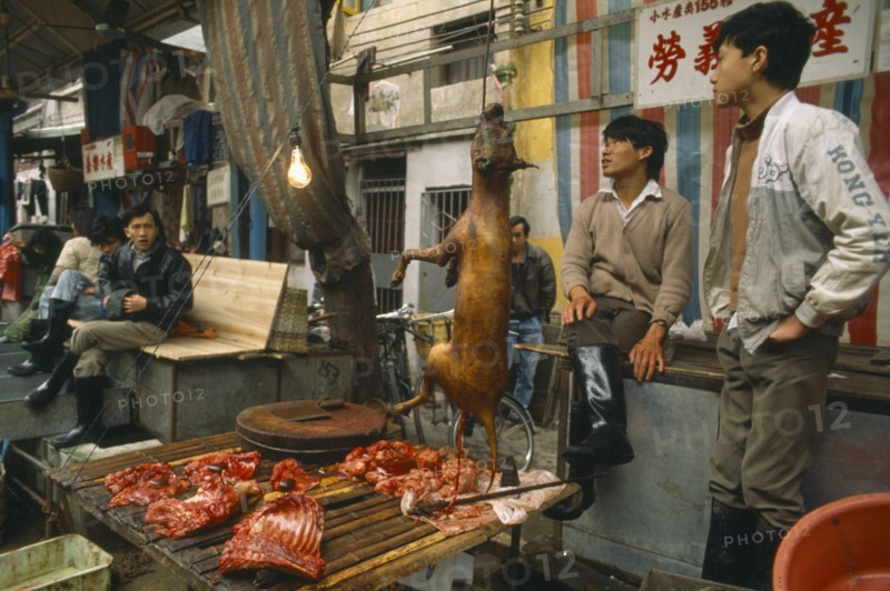 CHINA, Guangdong Province, Guangzhou , Dog meat for sale on street stall.