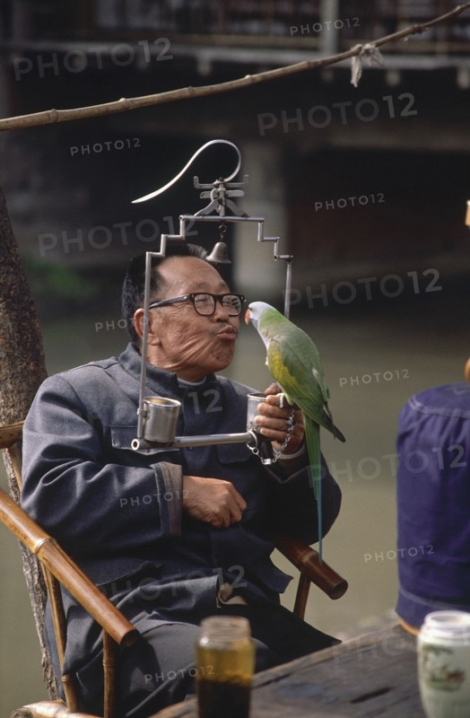 CHINA, Sichuan, Chengdu, Man sitting at cafe table holding a parrot