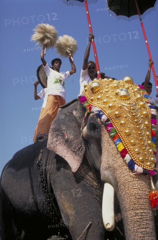 INDIA, Kerala , Trichur, Man  standing on a decorated elephant during the Great Elephant March