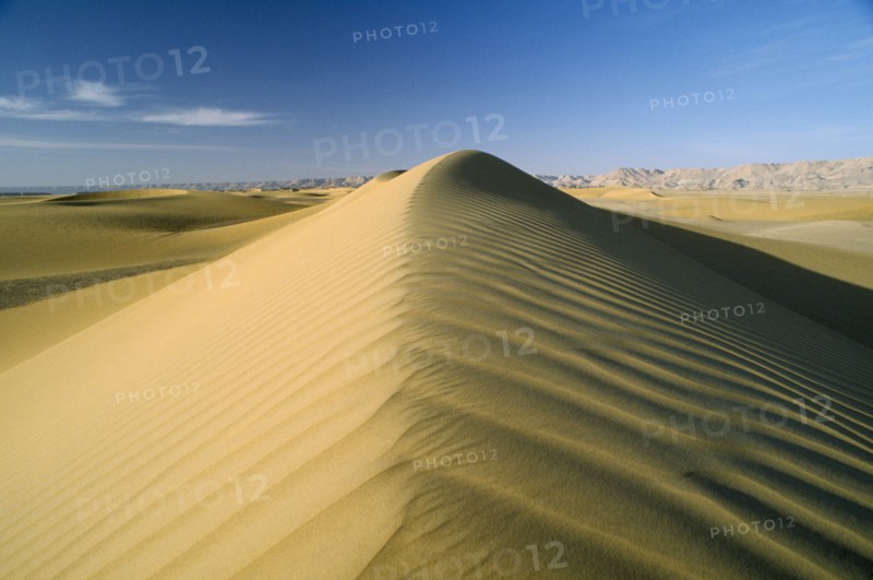 EGYPT, Western Desert , Ridge of sand dune