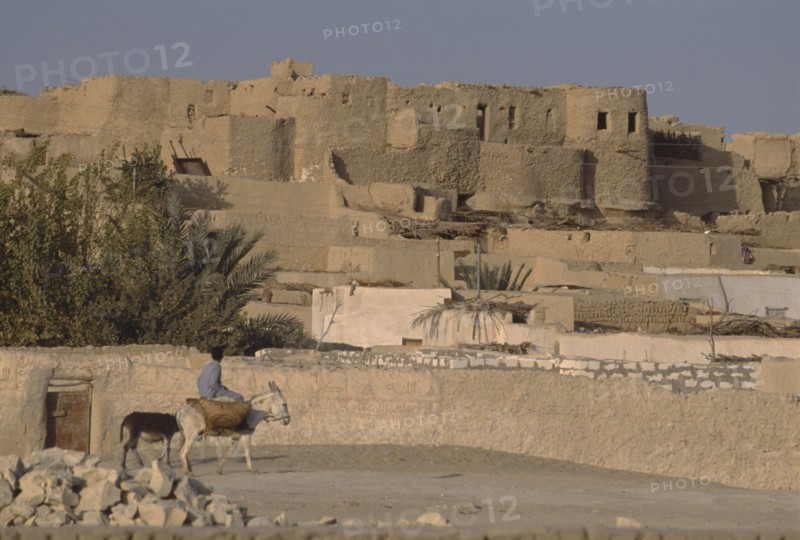 EGYPT, Western Desert, Farafra Oasis , Typical desert architecture with boy riding donkey carrying panniers in foreground.