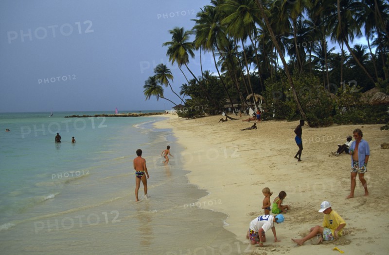 WEST INDIES, Tobago, Pigeon Point, People and children playing on shore of sandy beach fringed by palm trees.