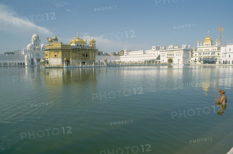 INDIA, Punjab, Amritsar , Sikh man praying in the sacred pool surrounding the Golden Temple.