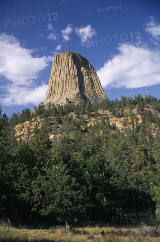 USA, Wyoming, Devils Tower, National Monument seen towering above trees in the foreground