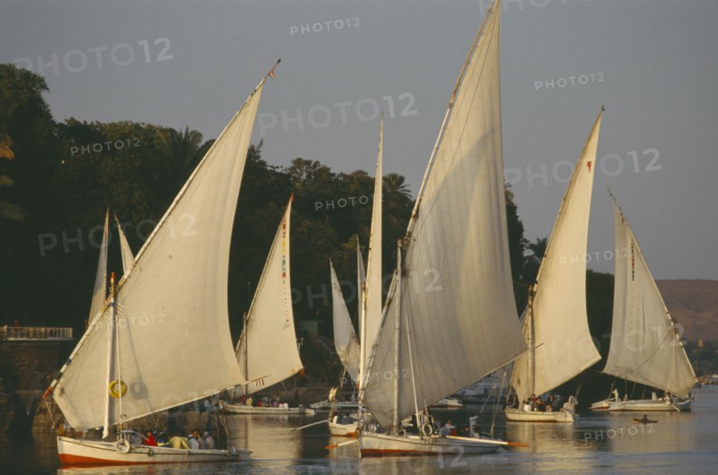EGYPT, Aswan, Feluccas on the River Nile in the evening