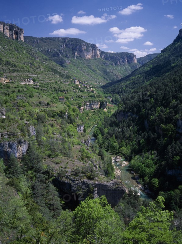 FRANCE, Languedoc Roussillon, Lozere, Sainte Enimie.  View along the Gorges du Tarn towards village set on steep hillside and tree covered rocky hills behind.