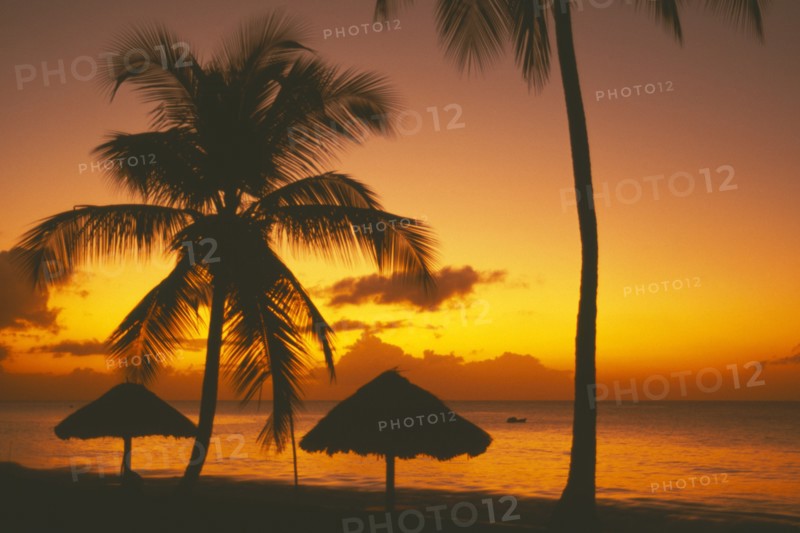 WEST INDIES, Tobago, Turtle Beach, Sunset at sea through coconut palm trees with thatched shelters on beach