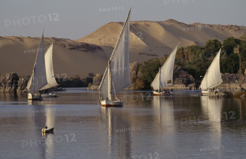 EGYPT, Upper Egypt, Aswan , Feluccas sailing on the Nile
