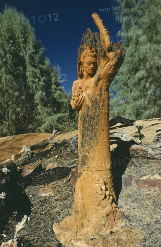 AUSTRALIA, Northern Territories, Alice Springs, William Ricketts wooden sculpture of nature guardian.