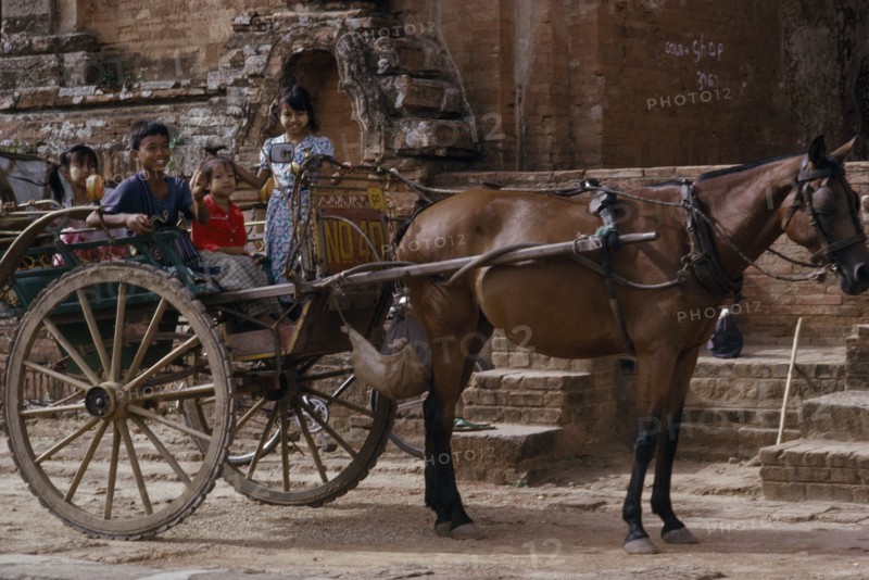 MYANMAR, Pagan, Local transport horsedrawn cart with children sitting in the back