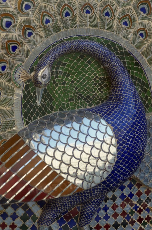 INDIA, Rajasthan, Udaipur, City Palace.  Detail of mosaic depicting a peacock.