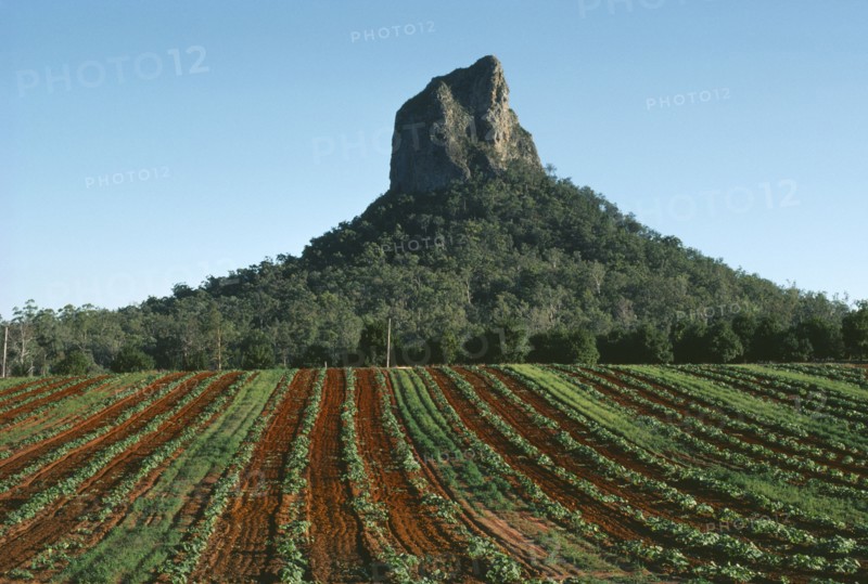 AUSTRALIA, Queensland, Glasshouse Mountains, Cultivated land showing red soil with Mount Coonowrin behind.