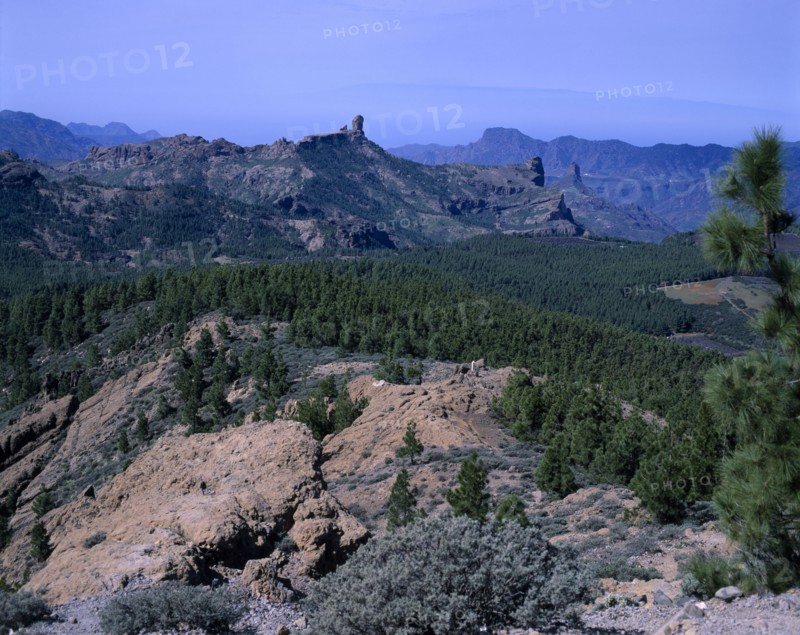 SPAIN, Canary Island, Gran Canaria , Calder de Bandama Crater