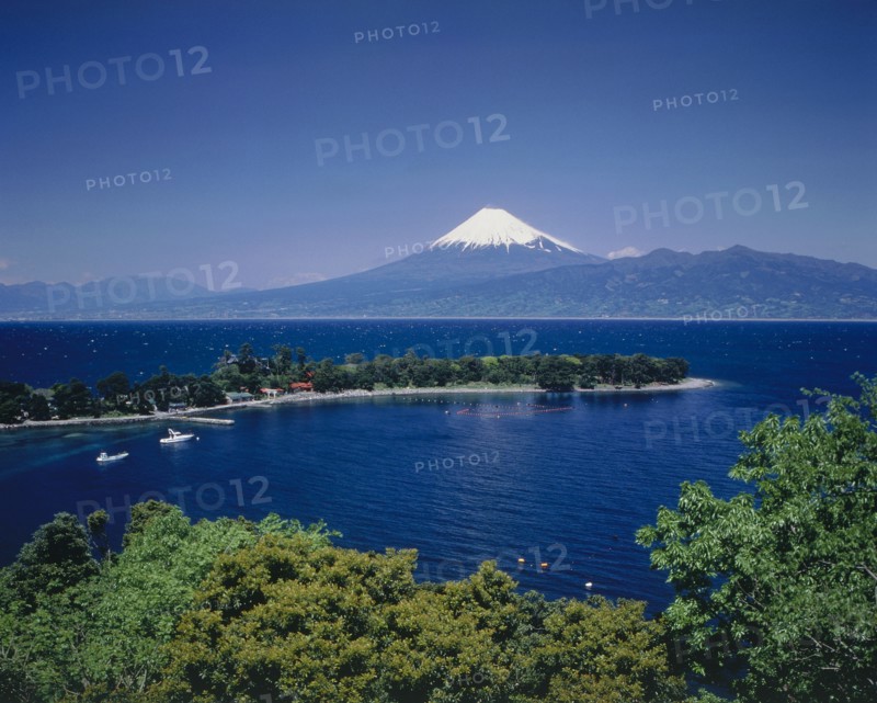 JAPAN, Honshu, Suruga Bay, Mount Fuji with snow cap above the tree lined deep blue water of the bay