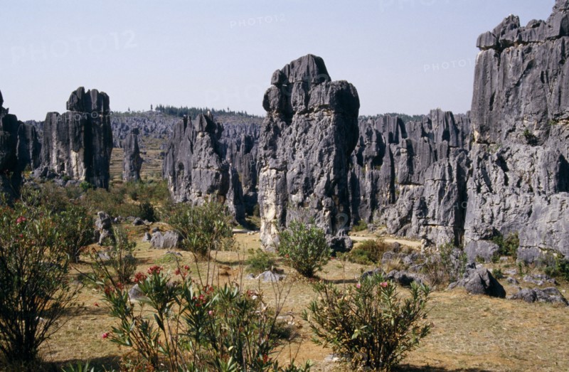 CHINA, Yunnan Province, Shilin, "The Stone Forest, near Kunming. Grey limestone rock pinnacles across the landscape"